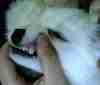 �ҼҴ󱦱�